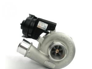 Reman turbolader Mitsubishi 49135-07300 49135-07301 49135-07302 49135-07100 2823127800 28231-27800